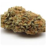 Шишки AK47 (Гидропоника, Бошка) VHQ в Новоалтайске Шишки AK47 (Гидропоника, Бошка) VHQ в Новоалтайске